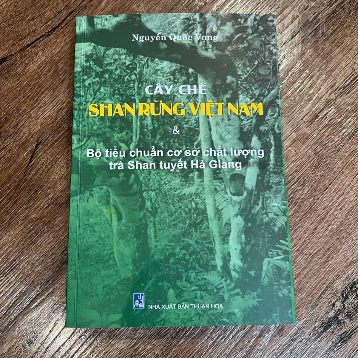 Cây Chè Shan Rừng Việt Nam