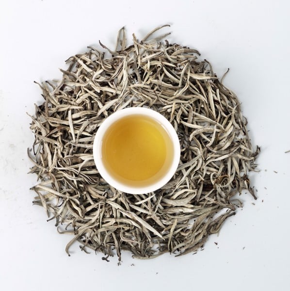 Bạch Trà Shan Cổ Thụ